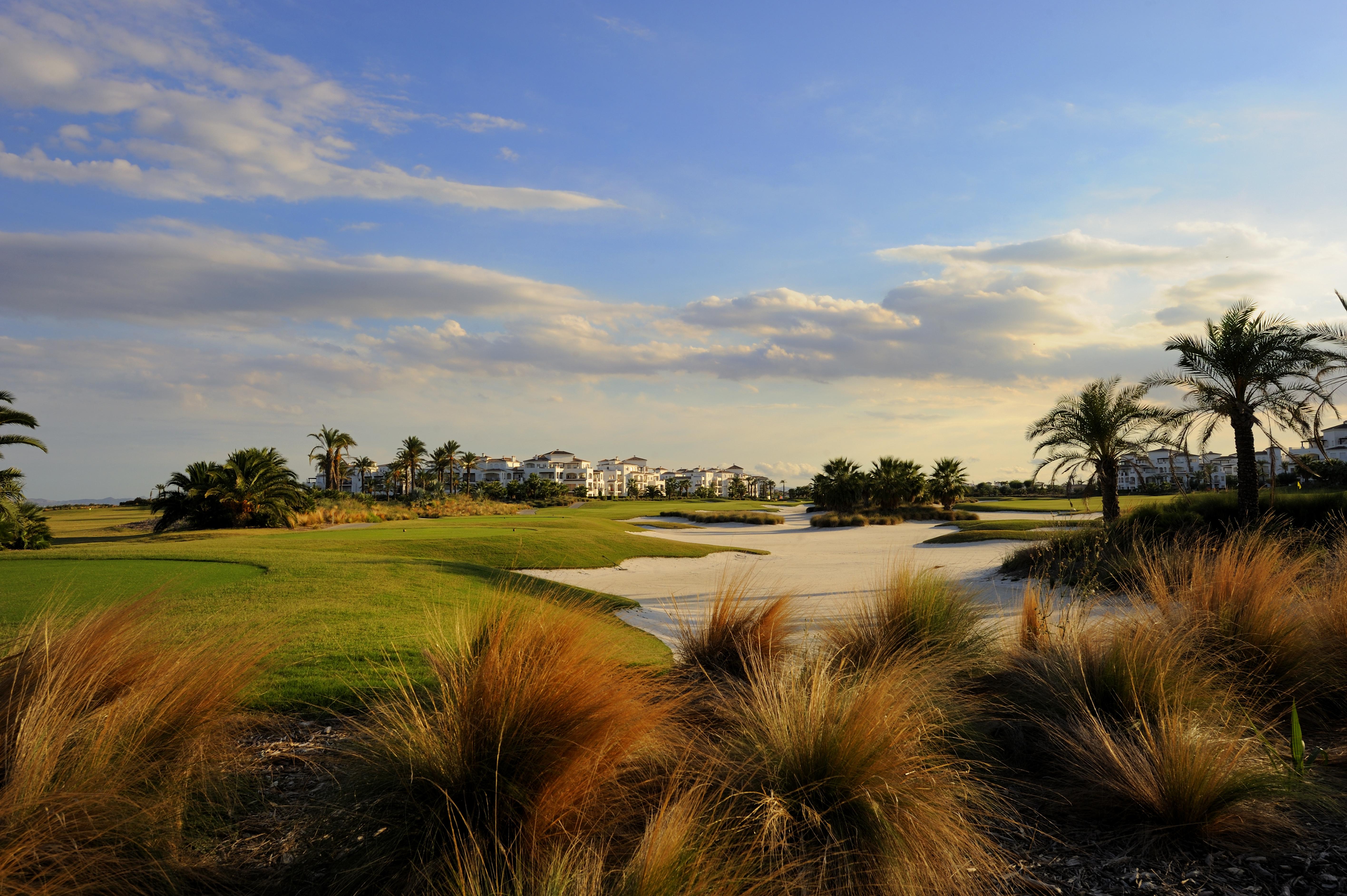 더블트리 바이 힐튼 라 토레 골프 앤 스파 리조트 롤단 외부 사진 Golf course at the Ritz-Carlton, Naples